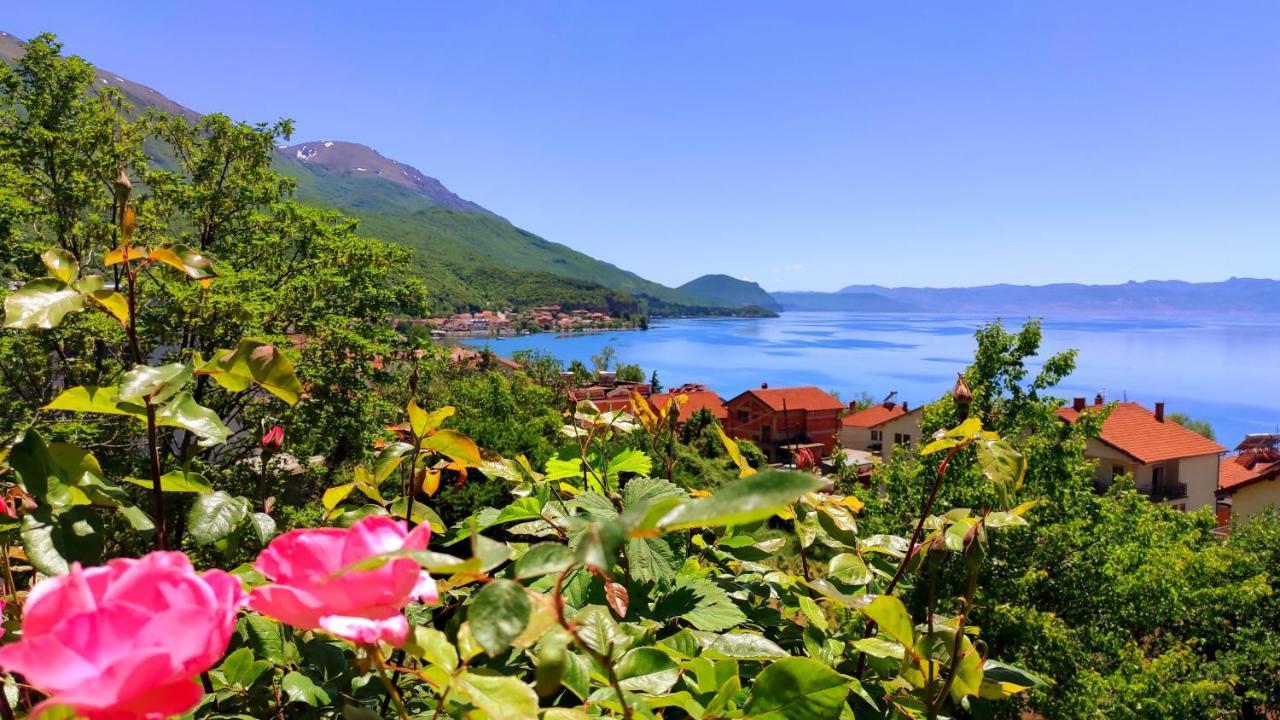 Villa Forest Paradise Охрид Екстер'єр фото