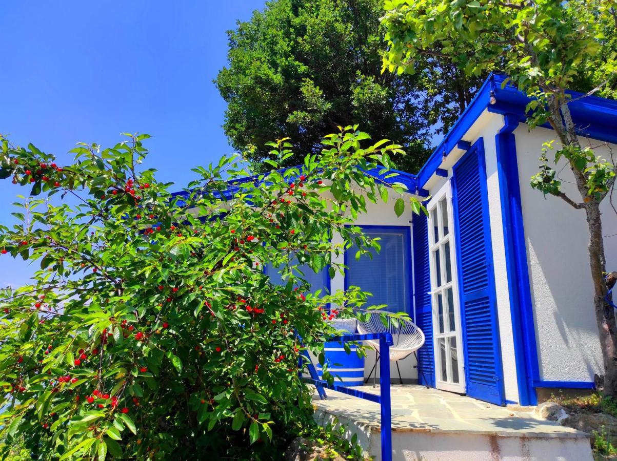 Villa Forest Paradise Охрид Екстер'єр фото