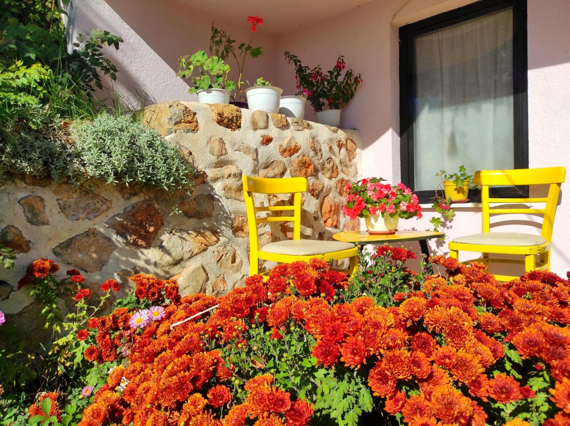 Villa Forest Paradise Охрид Екстер'єр фото
